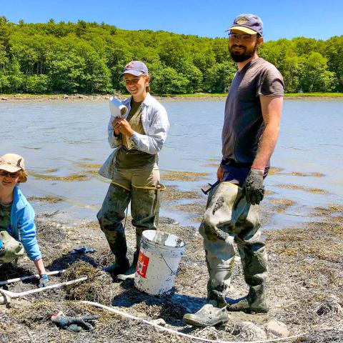 Three college students on the shoreline with scientific collection equipment.