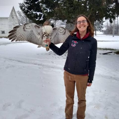 A woman holds a hawk