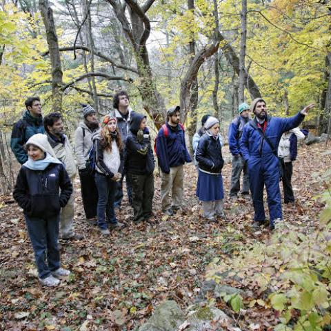 Professor Donahue leads undergraduates on a woodlands tour.