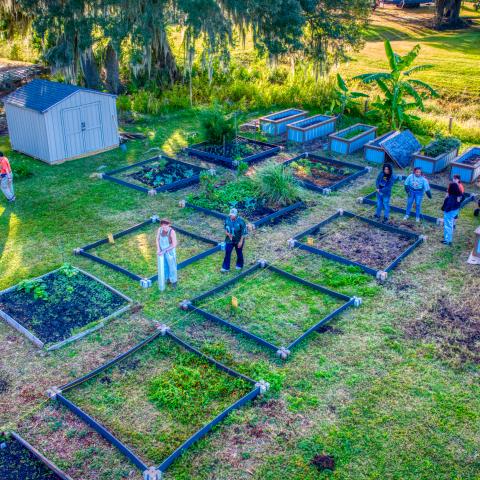 Savannah State community garden