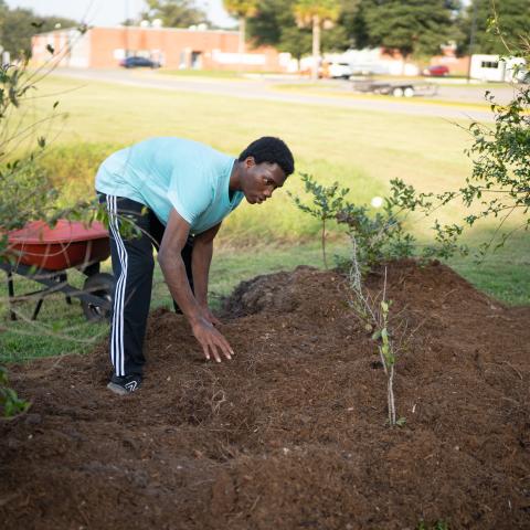 Savannah State gardening